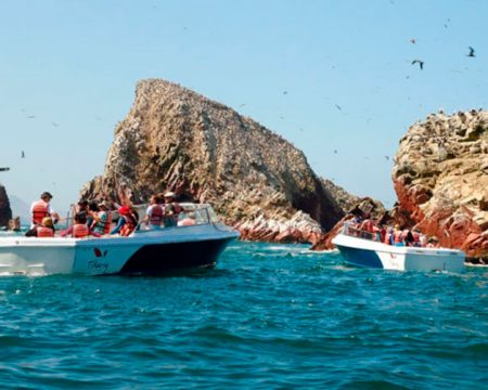 Tourists visiting Ballestas Islands in Paracas | Ile Tours