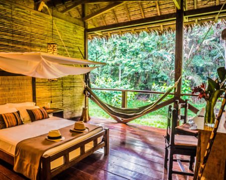 Accommodation in the jungle of peru | Ile Tours