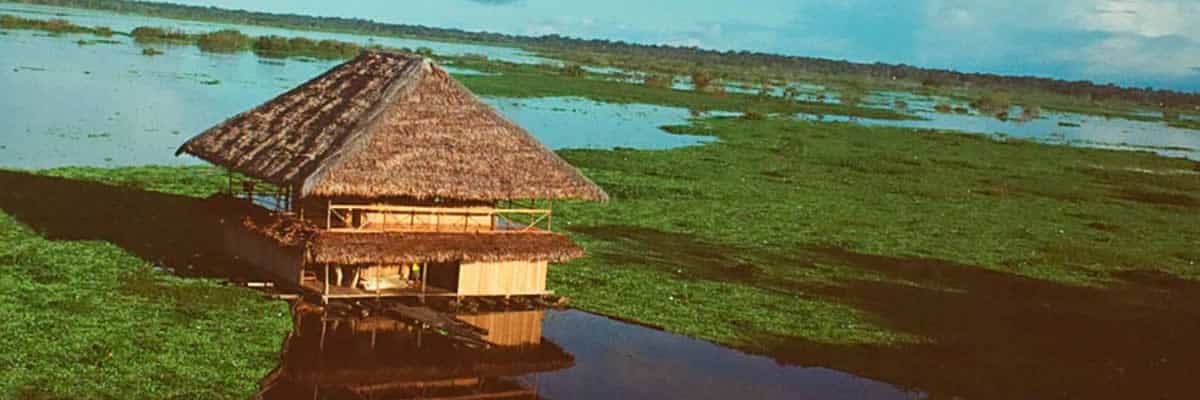 Ayahuasca Retreats In Iquitos 4 Days